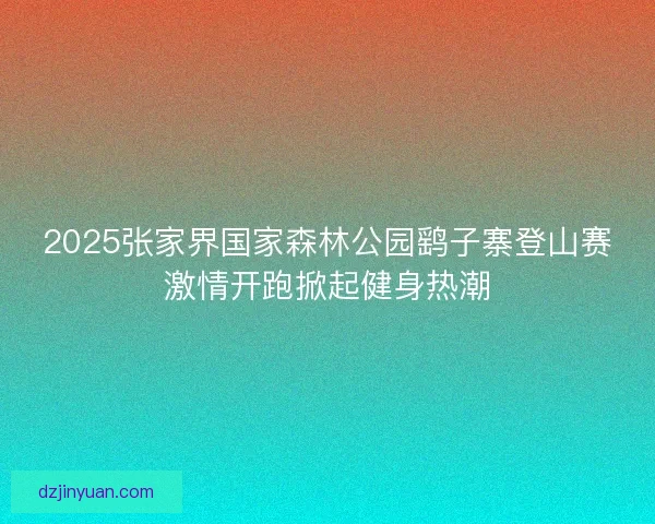 2025张家界国家森林公园鹞子寨登山赛激情开跑掀起健身热潮