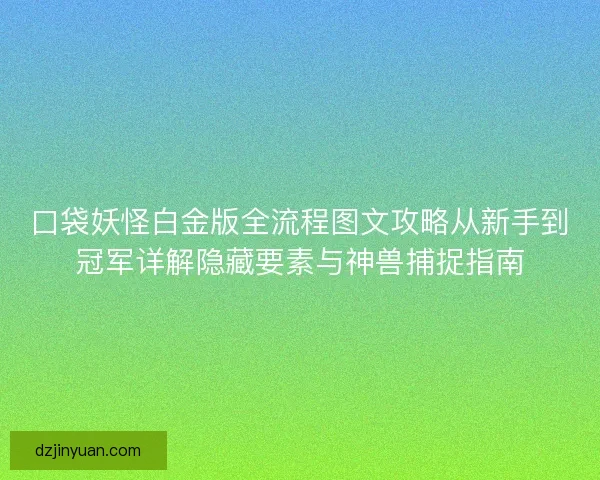 口袋妖怪白金版全流程图文攻略从新手到冠军详解隐藏要素与神兽捕捉指南