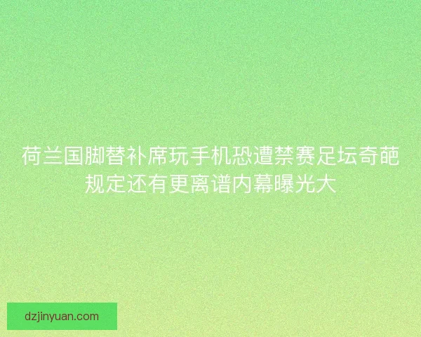 荷兰国脚替补席玩手机恐遭禁赛足坛奇葩规定还有更离谱内幕曝光大